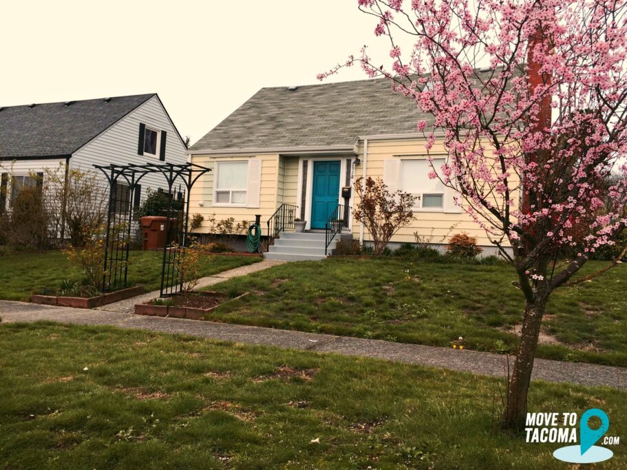 yellow house with blue door and cherry blossom tree