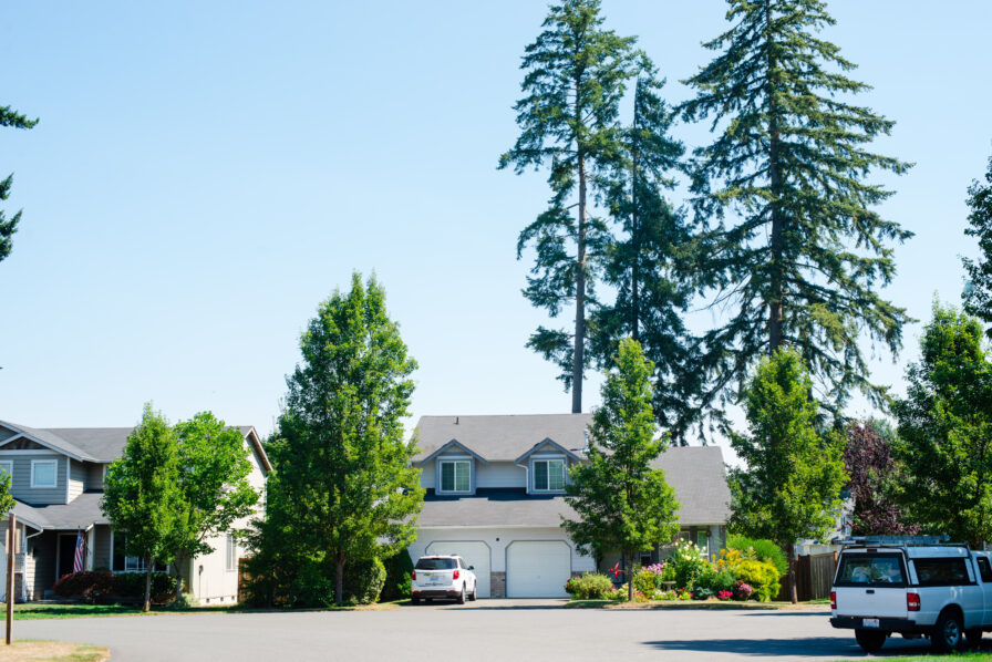 south hill neighborhood homes