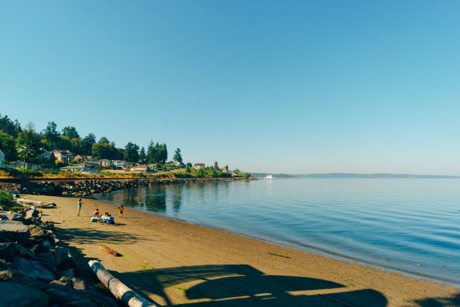 people at steilacoom beach summer