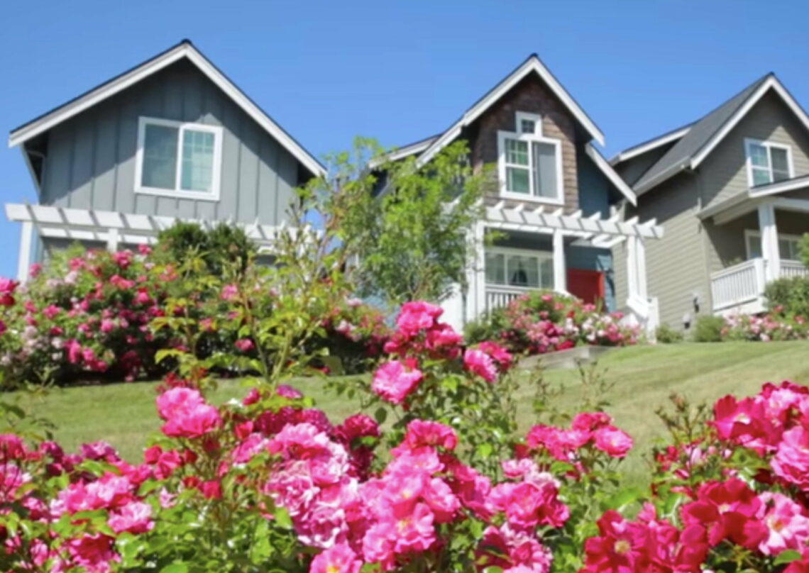 new construction gig harbor north