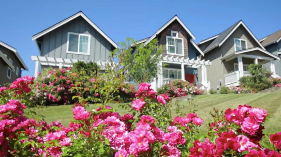 new construction gig harbor north