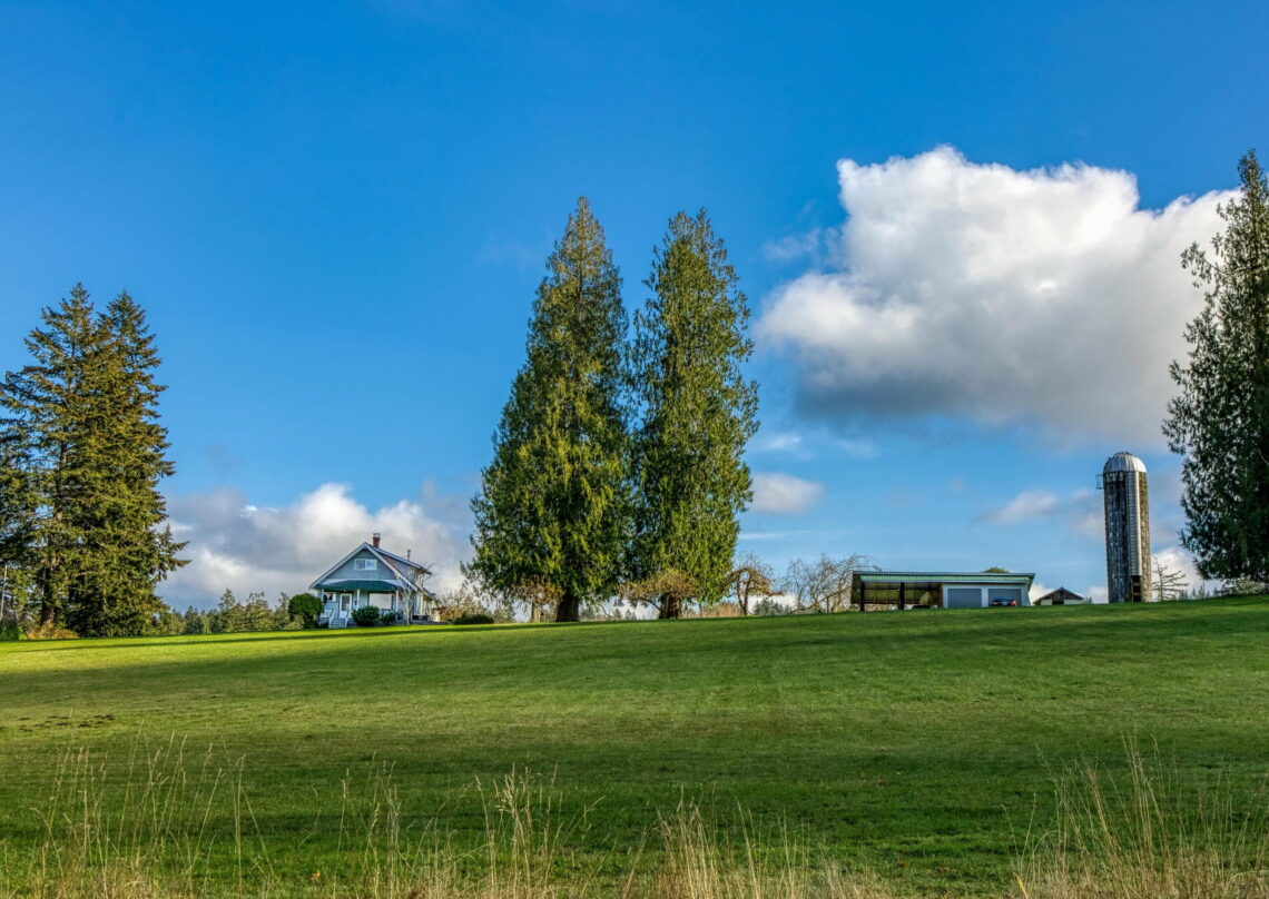 Home in a field in Rosedale WA