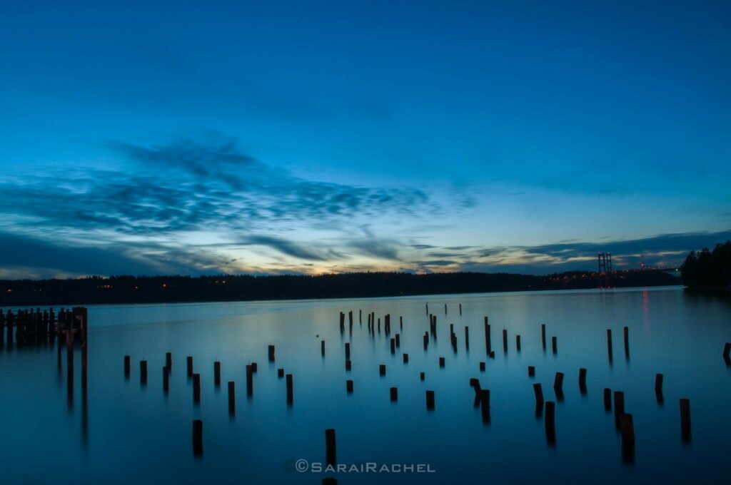 7471699536_d4ce0de5e9_k-2