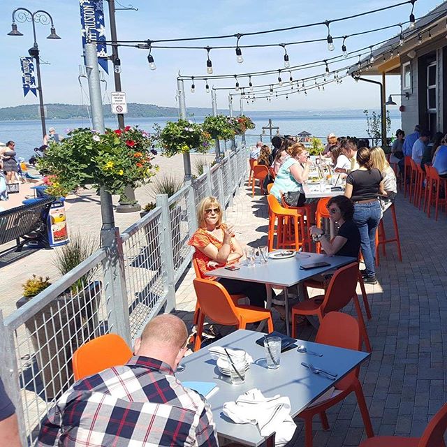 Photo courtesy of the WildFin website