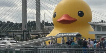 the duck in tacoma