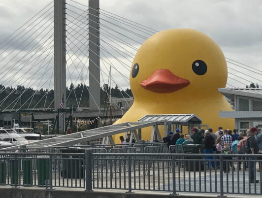 the duck in tacoma