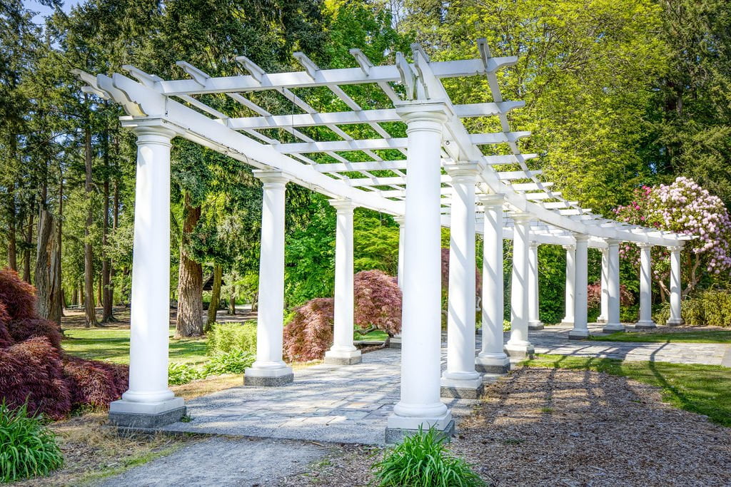 wapato pergola tacoma